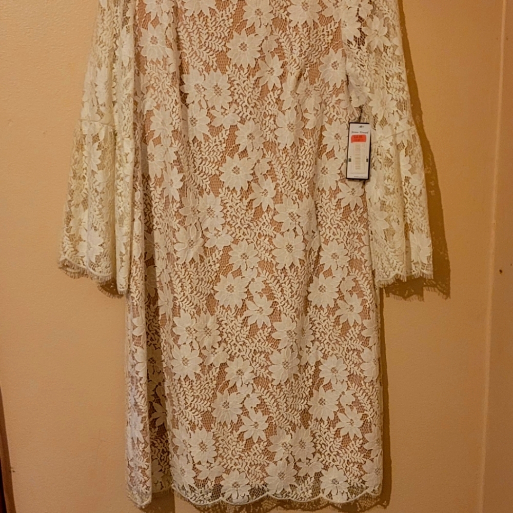 Elegant Lace Dress
